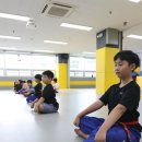 화성태권도장 이미지