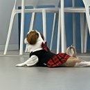 하랑이랑 애견카페 이미지