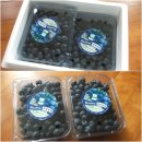 삼보농원 이미지