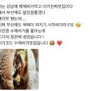 🍔100%수제 한우패티 / 건강한 수제버거 전문점 버거코드🍔 이미지