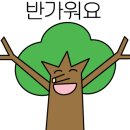 대창종합목재