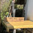 언양국시랑 | 🥢 언양 국시집 ‘조은사랑방’ 재오픈! - 푸짐한 비빔밥과 시락국 후기