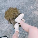 장화슈퍼 | 레인부츠 슈퍼카미트 장화 착용 후기