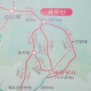 21.9.5정기 산행 제천 용두산 이미지