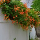 뜰과풍경 이미지