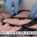 WHO, 가공육 발암물질 지정..소시지 햄 먹어야 되나? 말아야 되나? 이미지