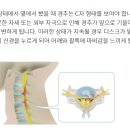 연세바른마취통증의학과의원 이미지