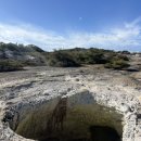 와이모텔 | [뉴질랜드 6] 북섬의 꽃, 와이오타푸, 와이망구 지열공원