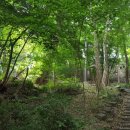 농다리캠핑장 이미지