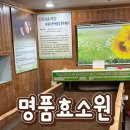화서점 현대자동차 | 21년 전통의 수원효소찜질 명품효소원 후기