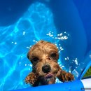 호텔델루멍 이미지