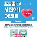 포피펫 - 안성시 중앙로 423 | 포피펫