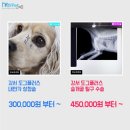 도그플러스동물병원 이미지