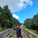 동백해비치펜션 이미지