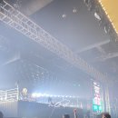 골져스캣(Gorgeous cat) | Doja Cat concert <Ma vie> 25~26 World Tour SEOUL...캣 콘서트 도자캣 내한공연 스탠딩 후기💋 +셋리스트