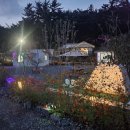 사천파인트리캠핑장