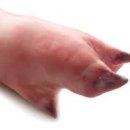 경희동의보감한의원 이미지