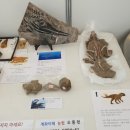 팔레오테이블 네이버블로그