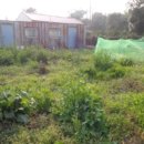 표선면-4 이미지