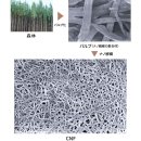 ALC렌즈전문점 | 신소재를 사용한 버터플라이 레볼디아 CNF 라켓