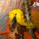 지음터건축사사무소 이미지