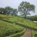 고강선사유적체험관 이미지