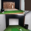 원스크린골프 이미지