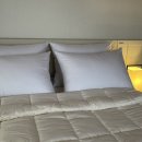 세화스테이 이미지