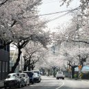 효돈동-2 이미지