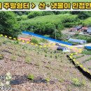 정선축사 이미지