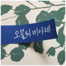 오블리비아떼 | [사당역꽃집] 감각적인 꽃다발이 돋보이는 오블리비아떼 꽃집 방문후기