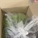 정진농장 이미지