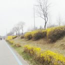 20150329_조성희_(57) 이미지