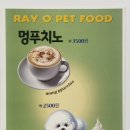 Ray_o 이미지