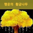 ♤요즈음 남편의 등급♧ 이미지