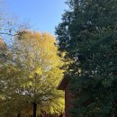 혜성바이오 | 태양에게 이끌리는 작은 혜성처럼