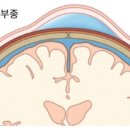 머리야 - 천안시 서북구 | 머리야