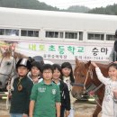 내토초등학교 이미지