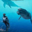 바다게임즈 이미지