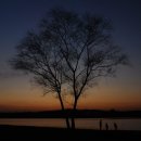 나무와사람들 이미지