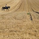 남부농장 이미지