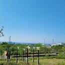 서호동-19 이미지