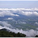 김영곤 농장 이미지