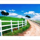 대지세탁소 이미지