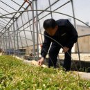 해리면사무소 이미지