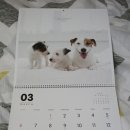 봄내병원 이미지