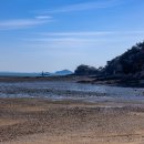 포내어촌체험휴양마을 이미지