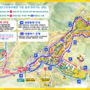 유꽃보다 | 2026 제27회 구례 산수유꽃축제(구레산 유꽃축제) 완전 정복 가이드! 🔥