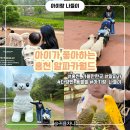 월드 | 아기랑 첫 홍천 나들이, 알파카월드 후기