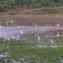 예당관광지 야외음악당 이미지